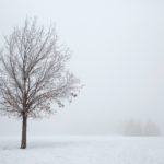discipleship resources for young adult women