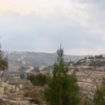 Fields Near Bethlehem